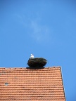 pfingsten 2012 37
