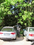 pfingsten 2012 49