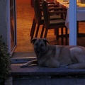 pfingsten 2012 94